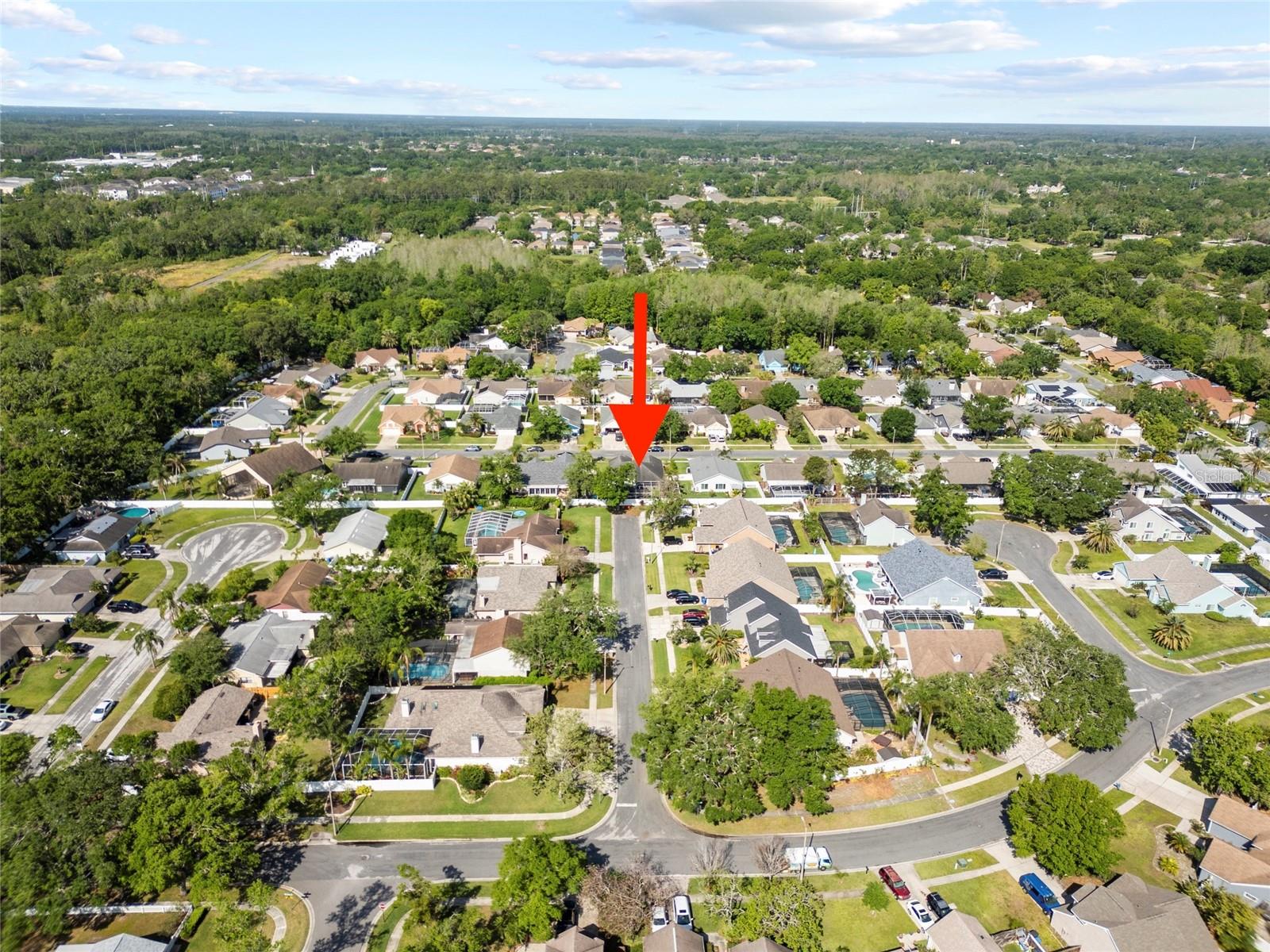 14916 ROCKY LEDGE DR, TAMPA, FL, 33625