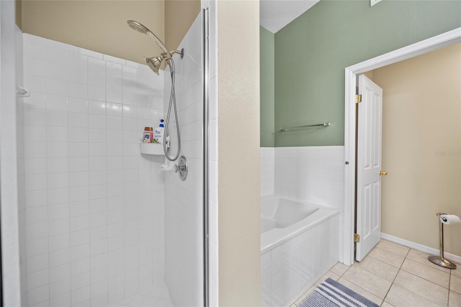 14916 ROCKY LEDGE DR, TAMPA, FL, 33625