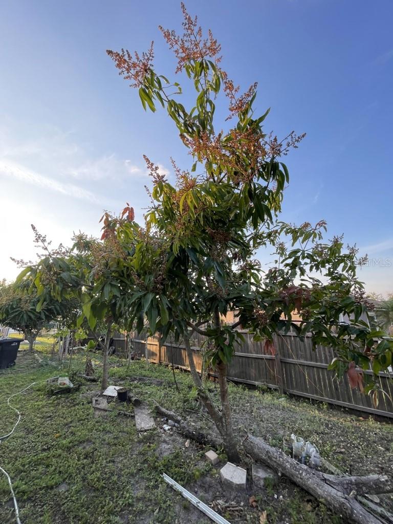 117 ANZIO DR, KISSIMMEE, FL, 34758