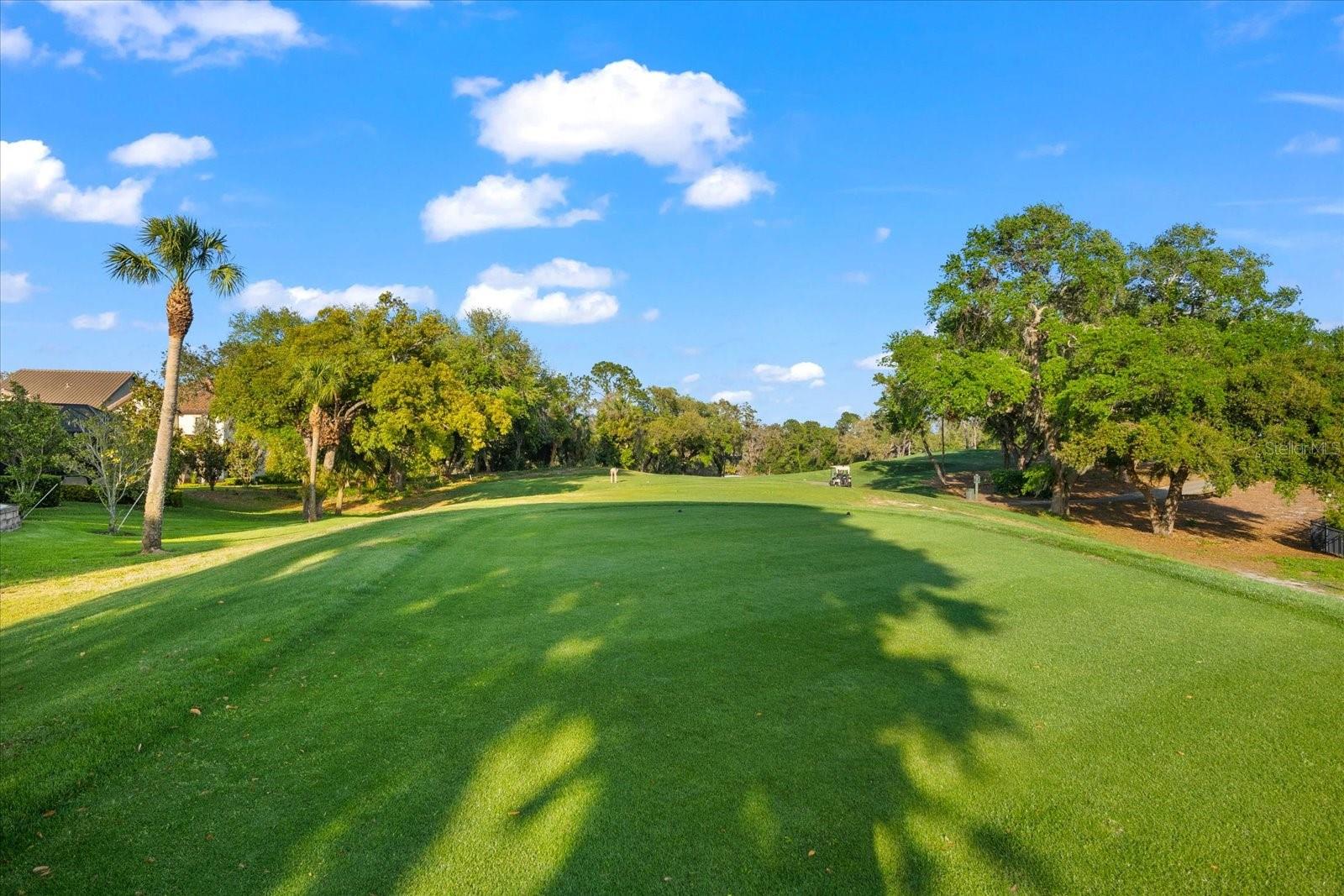 1550 MARINELLA DR, PALM HARBOR, FL, 34683
