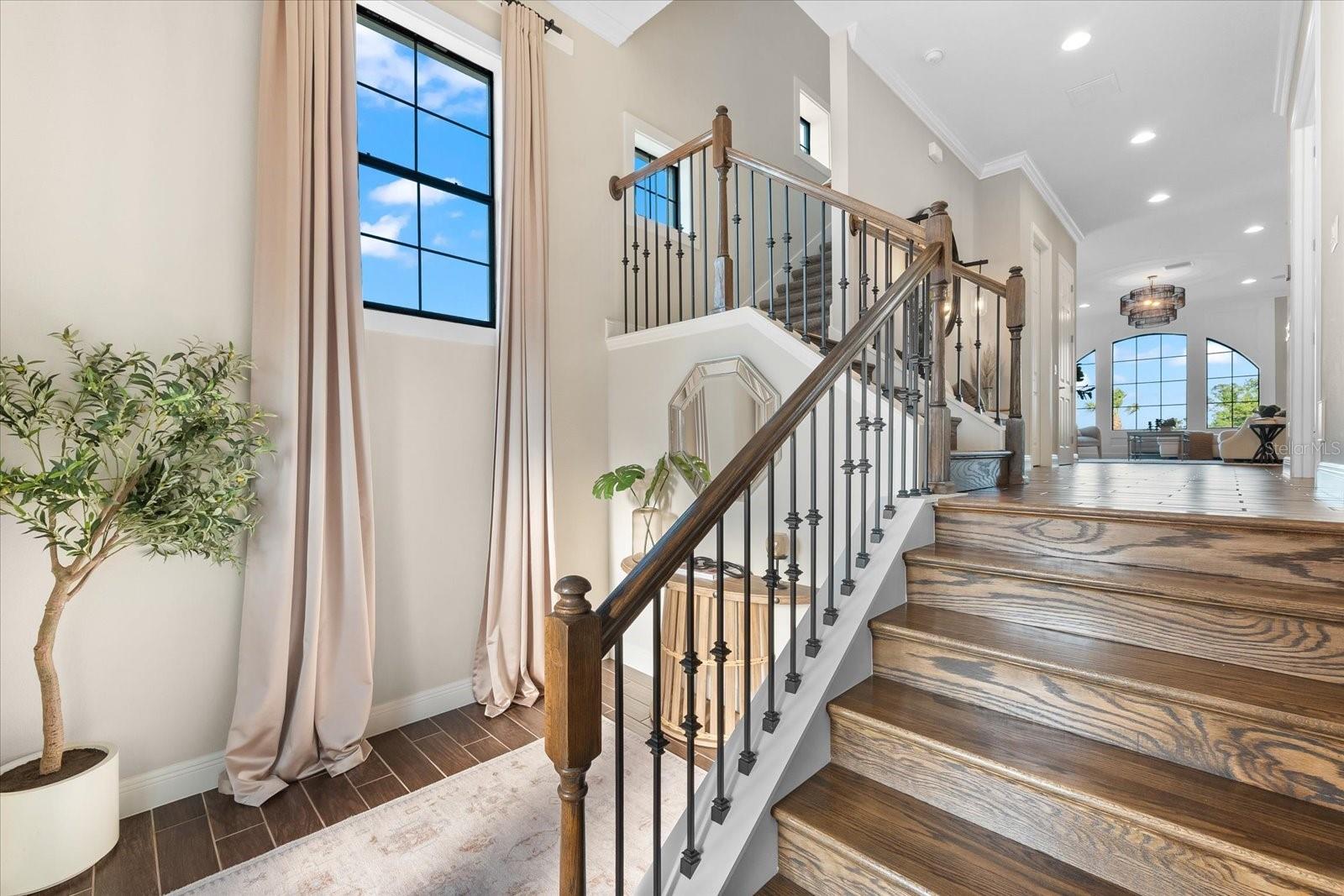 1550 MARINELLA DR, PALM HARBOR, FL, 34683