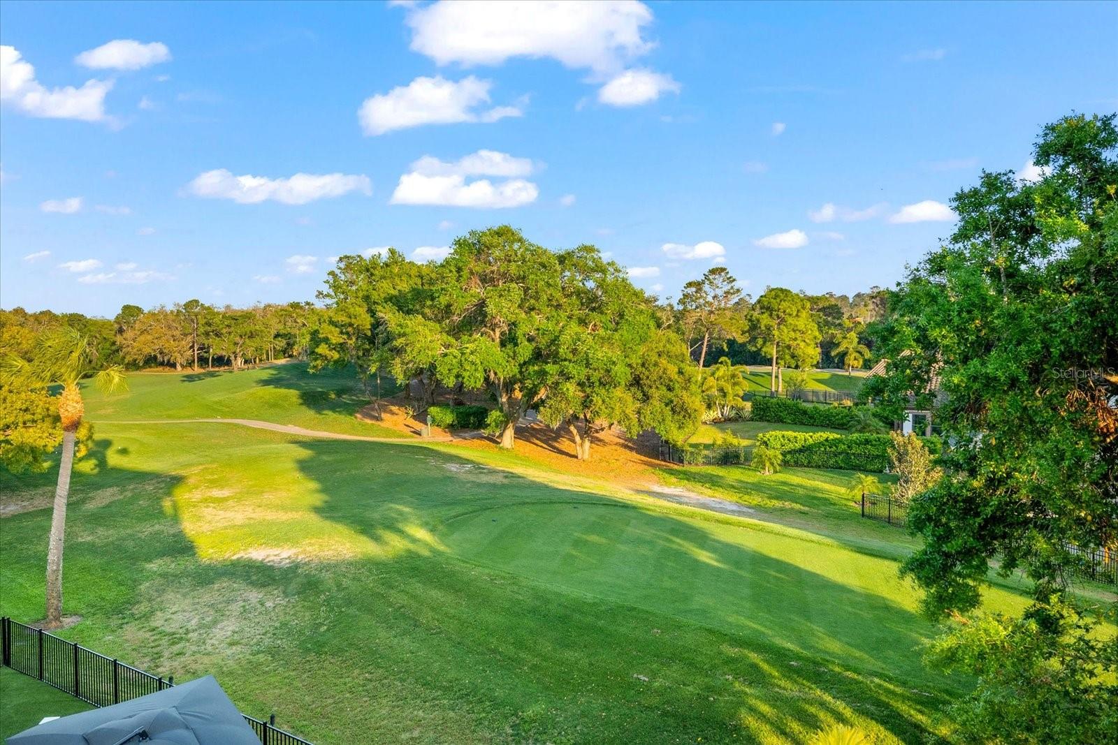 1550 MARINELLA DR, PALM HARBOR, FL, 34683
