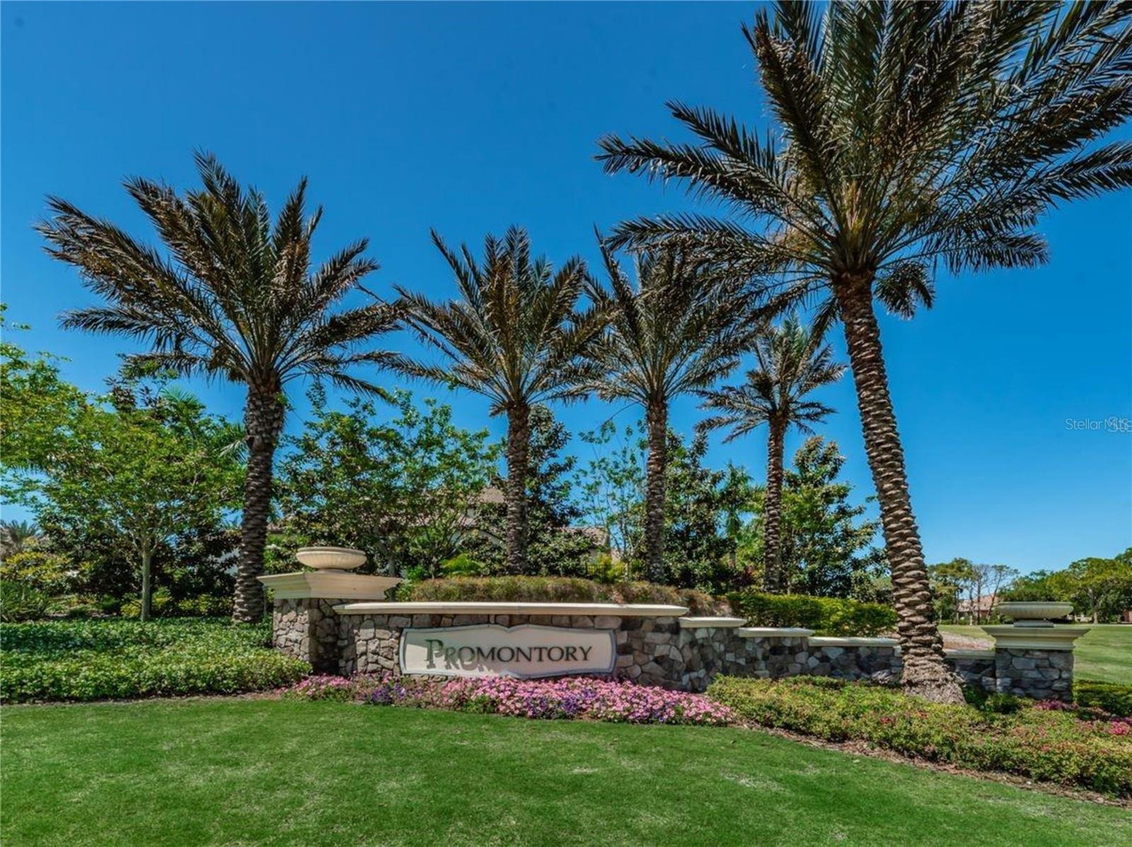 1550 MARINELLA DR, PALM HARBOR, FL, 34683