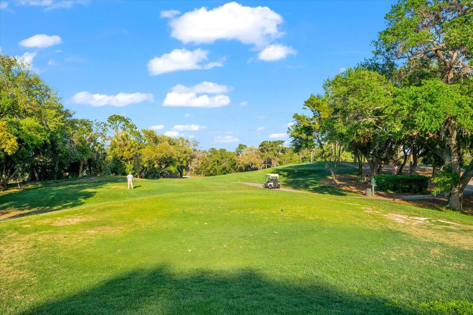 1550 MARINELLA DR, PALM HARBOR, FL, 34683