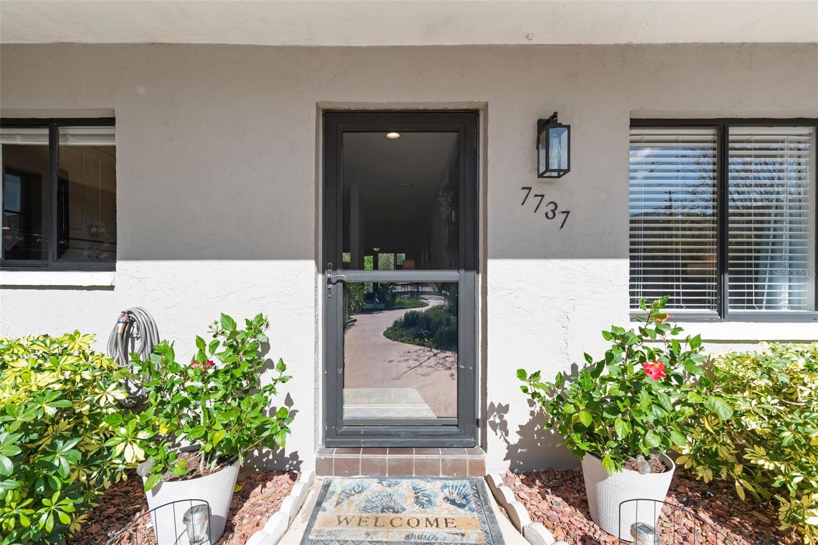 7737 EUREKA DR #203, HUDSON, FL, 34667