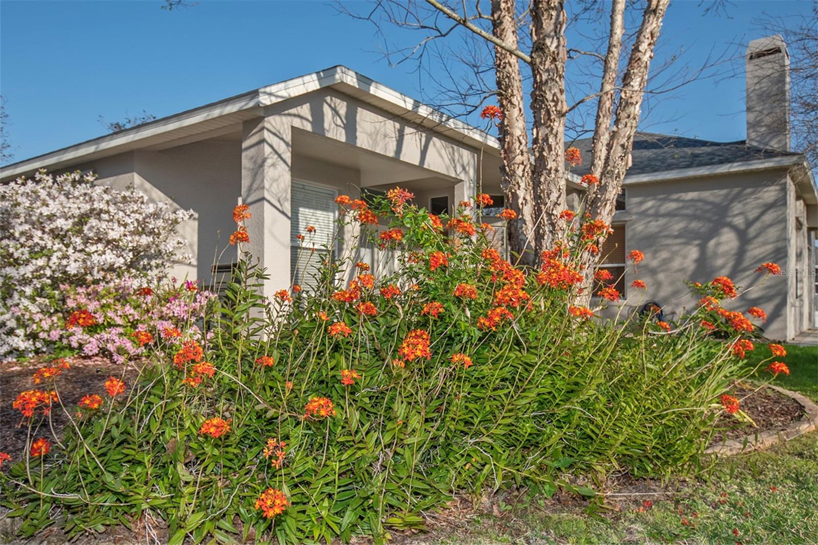 13131 SANDY PINE LN, CLERMONT, FL, 34711