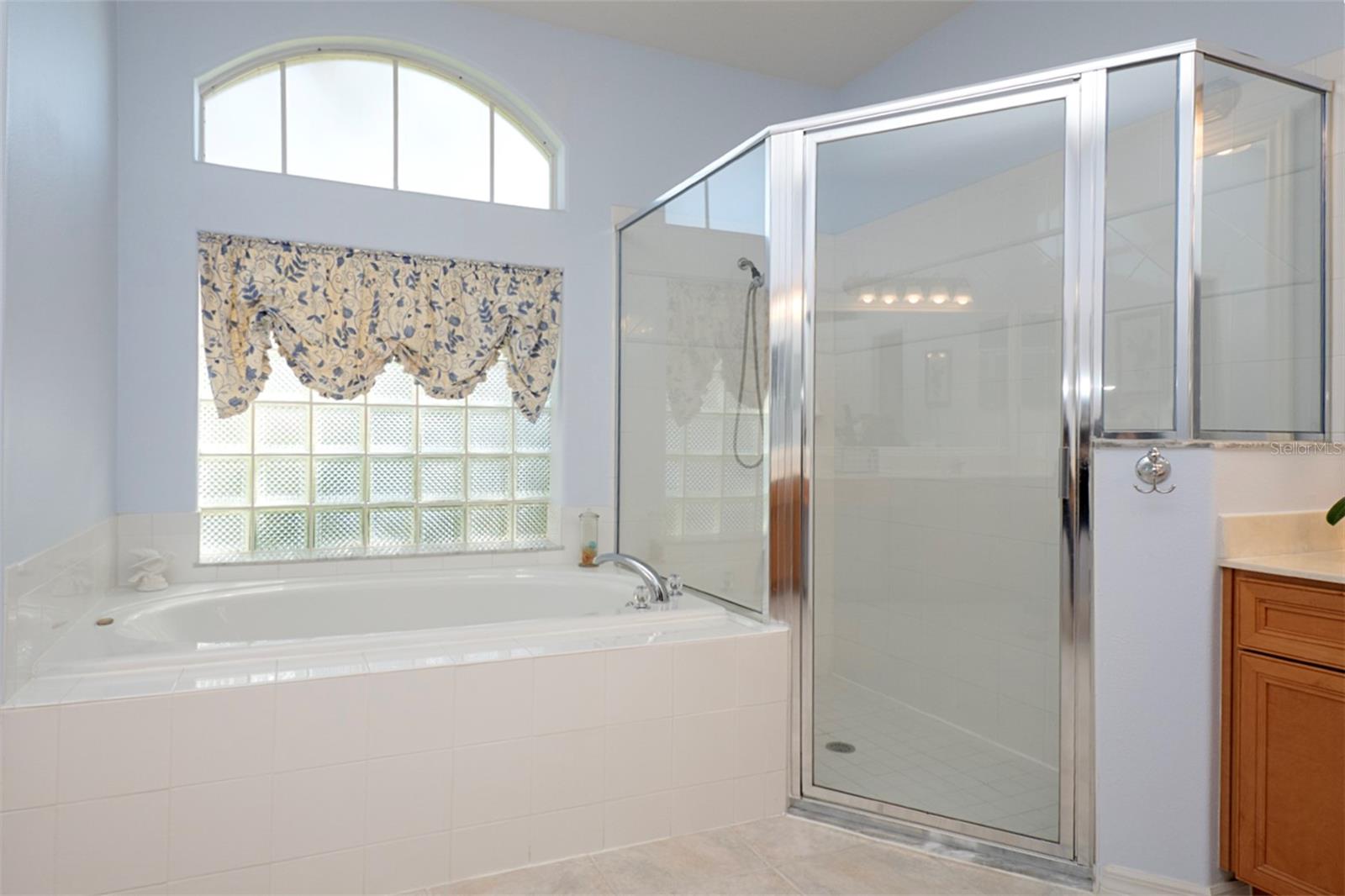 13131 SANDY PINE LN, CLERMONT, FL, 34711