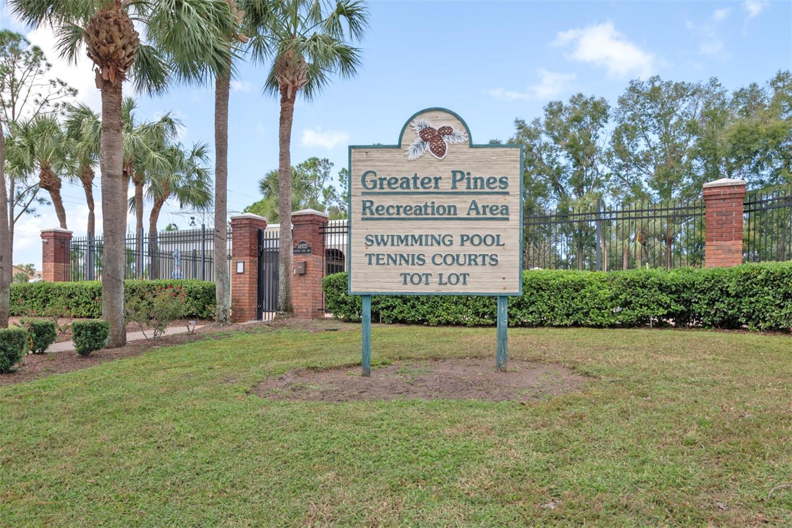13131 SANDY PINE LN, CLERMONT, FL, 34711