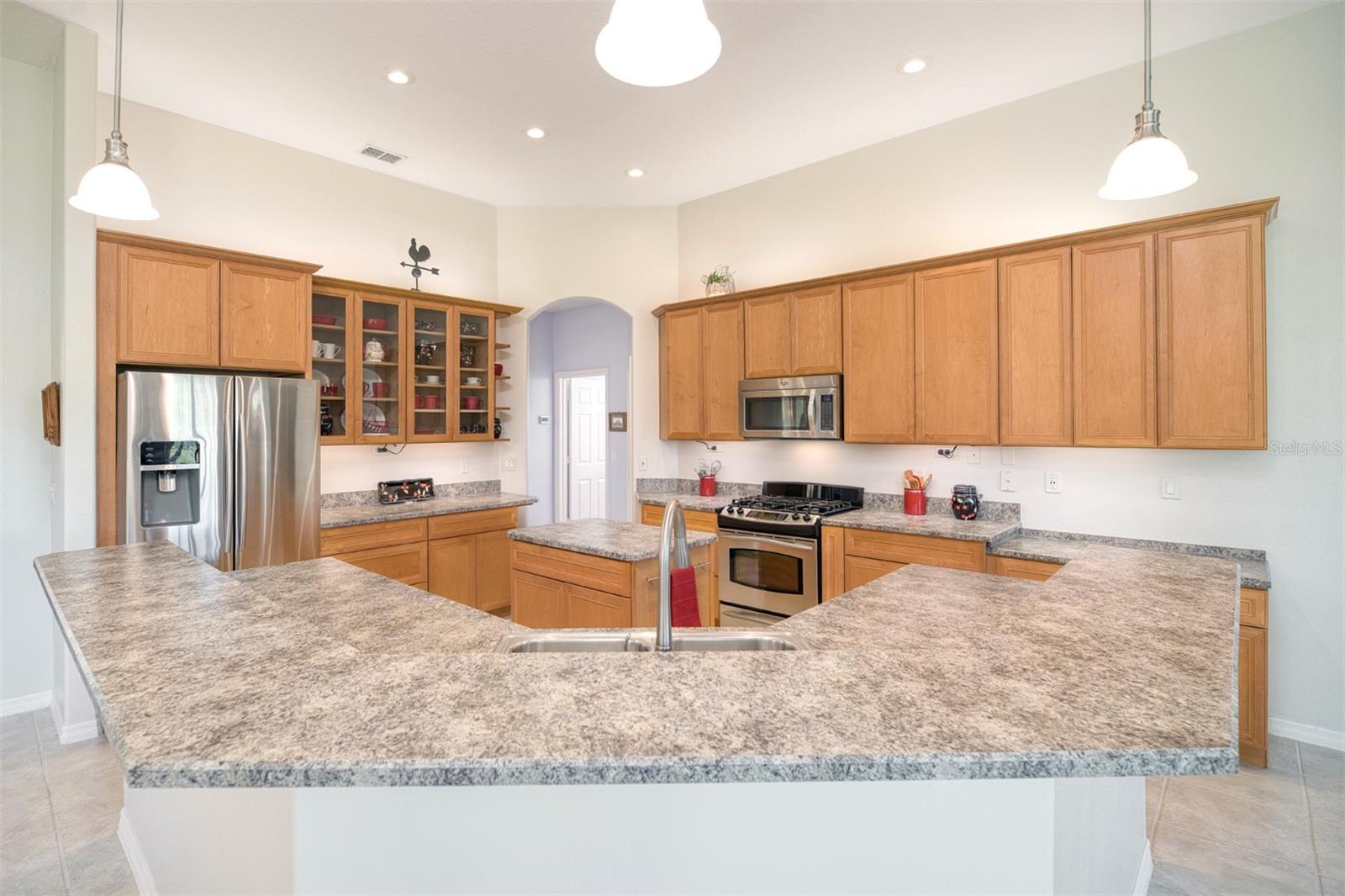 13131 SANDY PINE LN, CLERMONT, FL, 34711