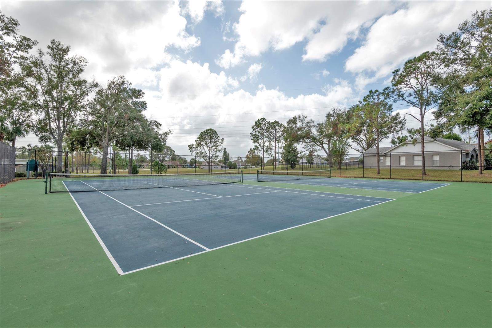 13131 SANDY PINE LN, CLERMONT, FL, 34711
