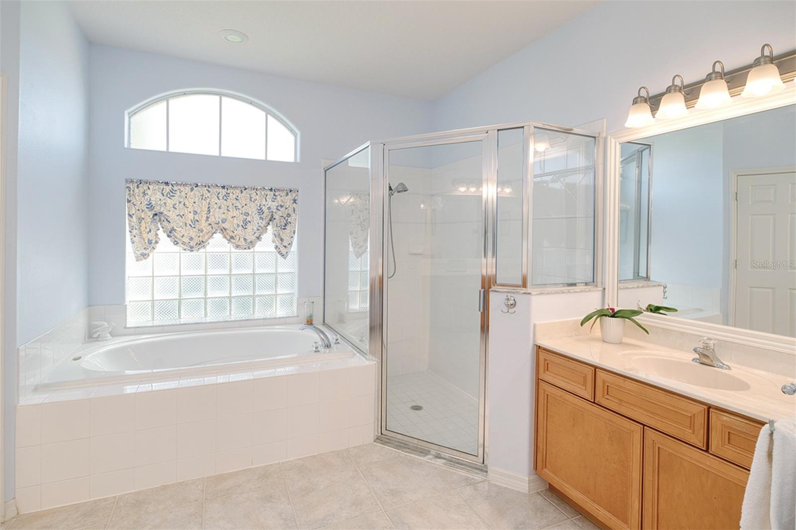 13131 SANDY PINE LN, CLERMONT, FL, 34711