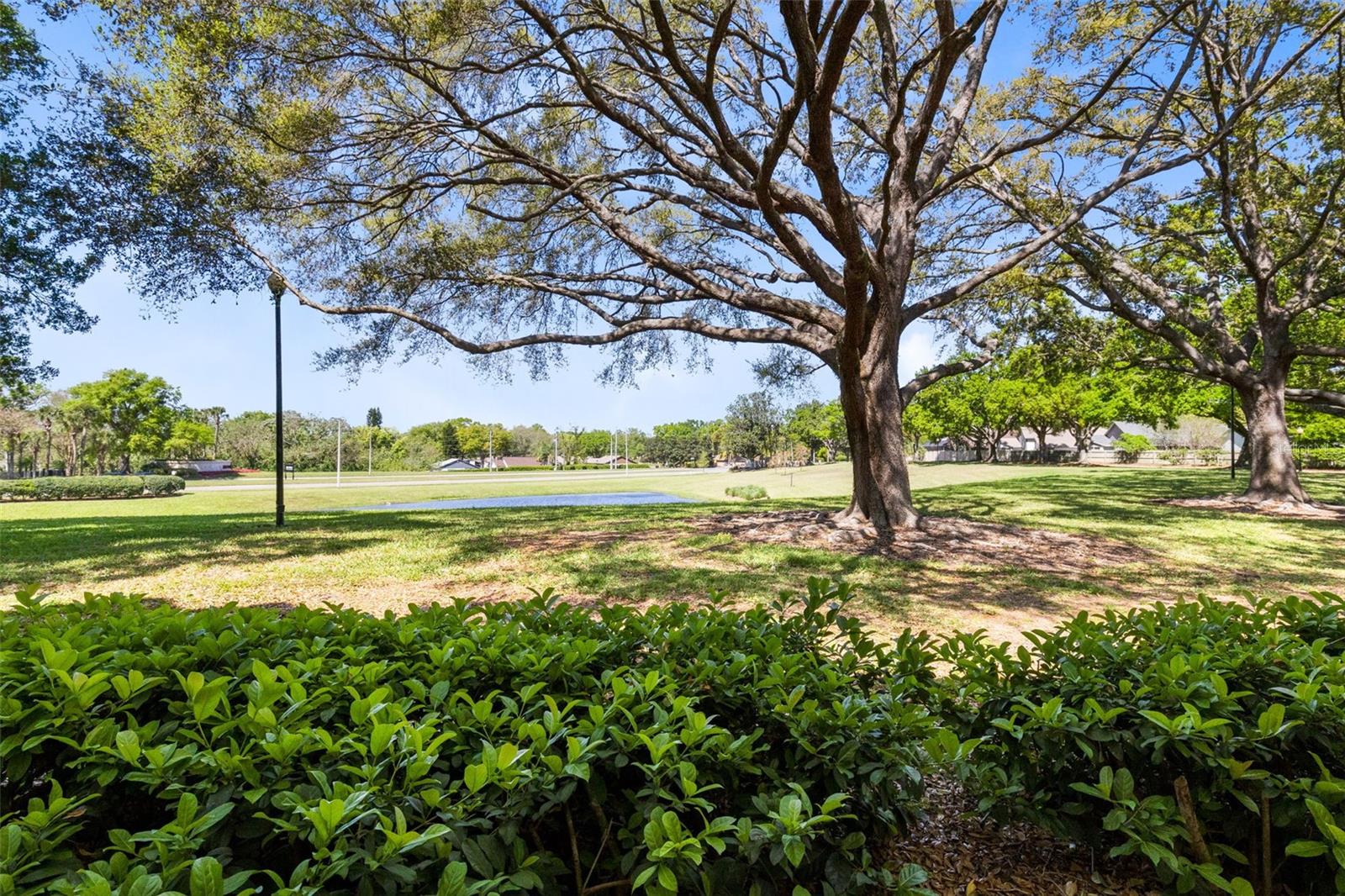 1017 S HIAWASSEE RD #3718, ORLANDO, FL, 32835