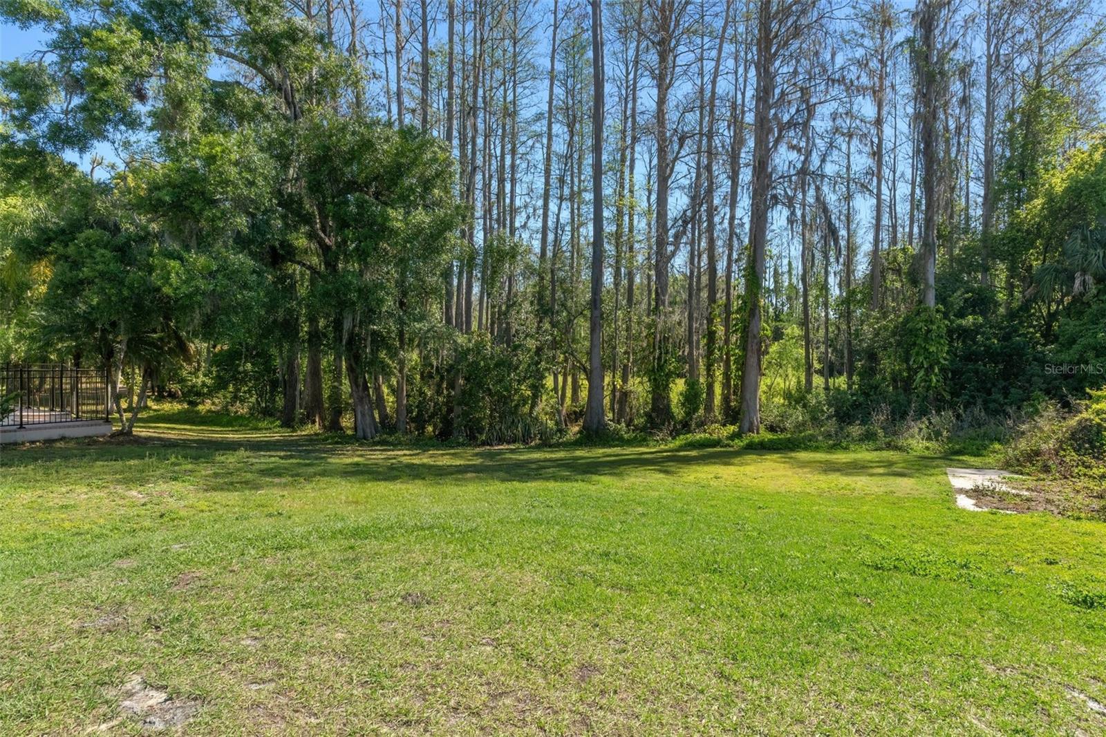 19019 3RD ST NE, LUTZ, FL, 33549
