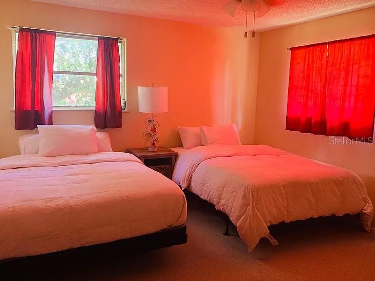 4904 E RIVER HILLS DR, TAMPA, FL, 33617