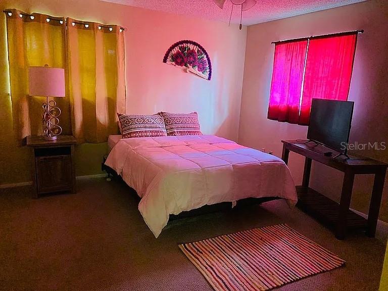 4904 E RIVER HILLS DR, TAMPA, FL, 33617