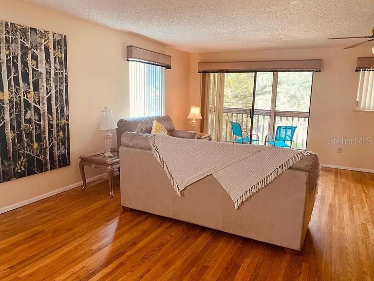 4904 E RIVER HILLS DR, TAMPA, FL, 33617