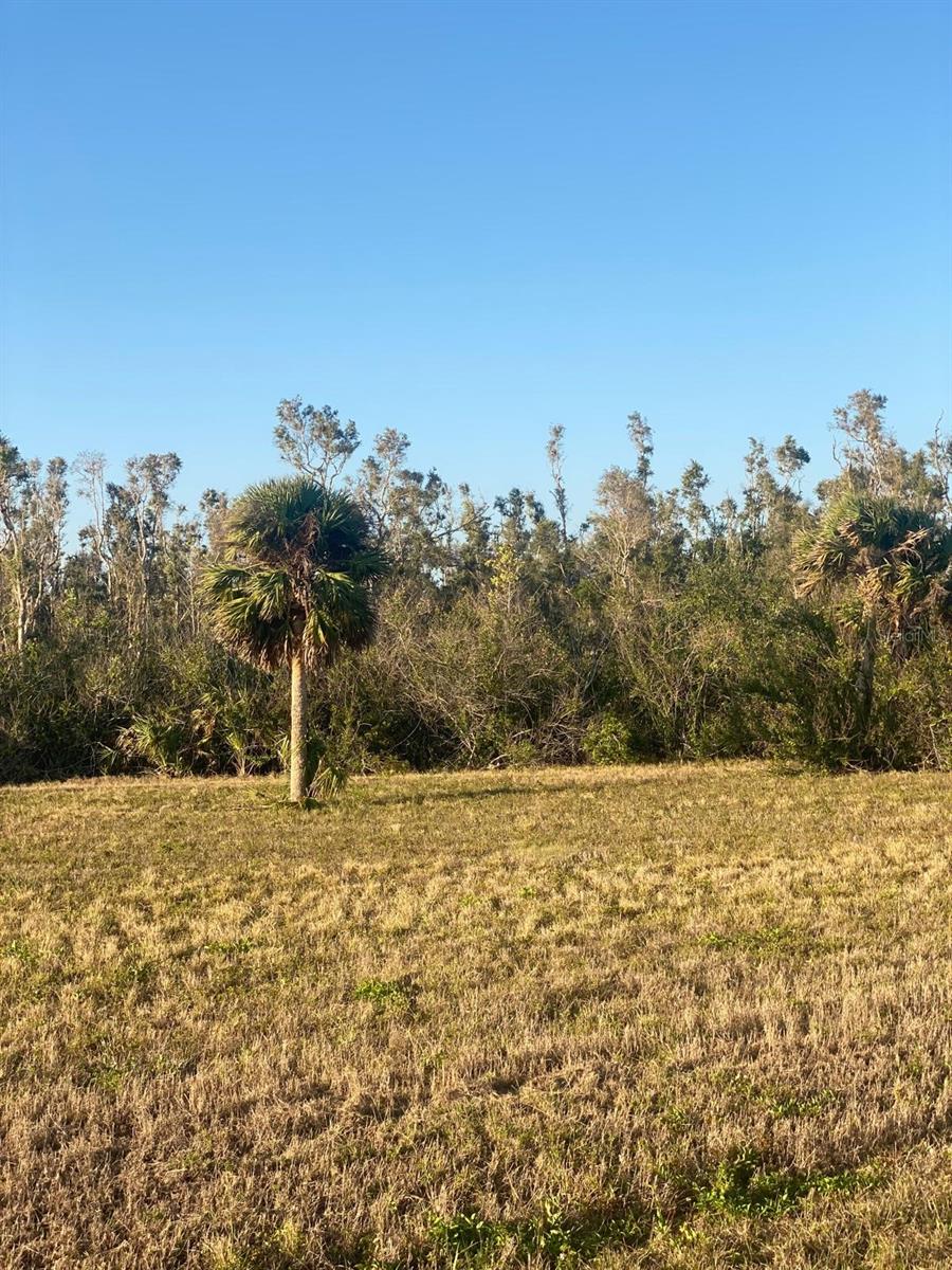 14420 BURBANK PL, PLACIDA, FL, 33946