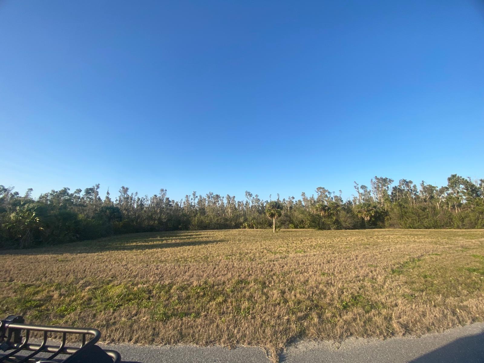 14420 BURBANK PL, PLACIDA, FL, 33946