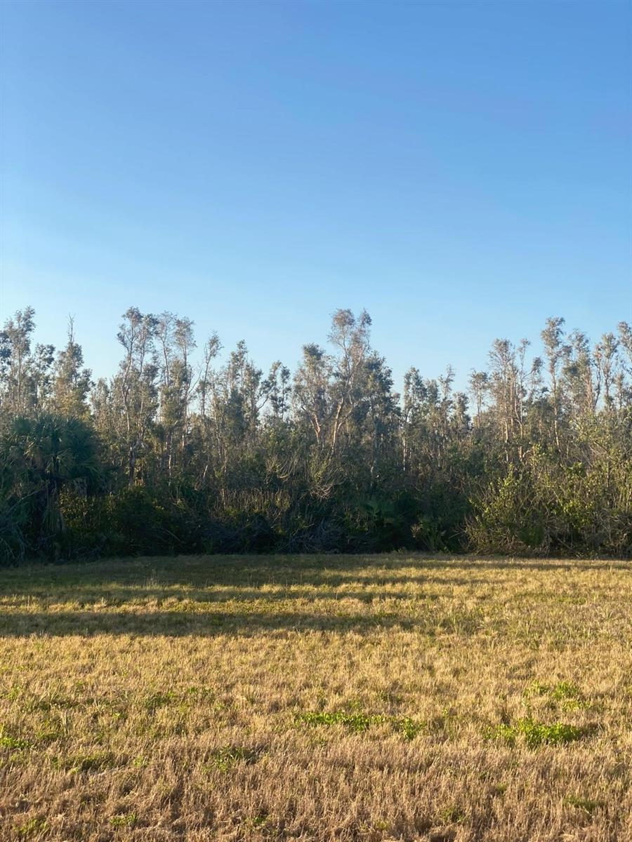 14420 BURBANK PL, PLACIDA, FL, 33946