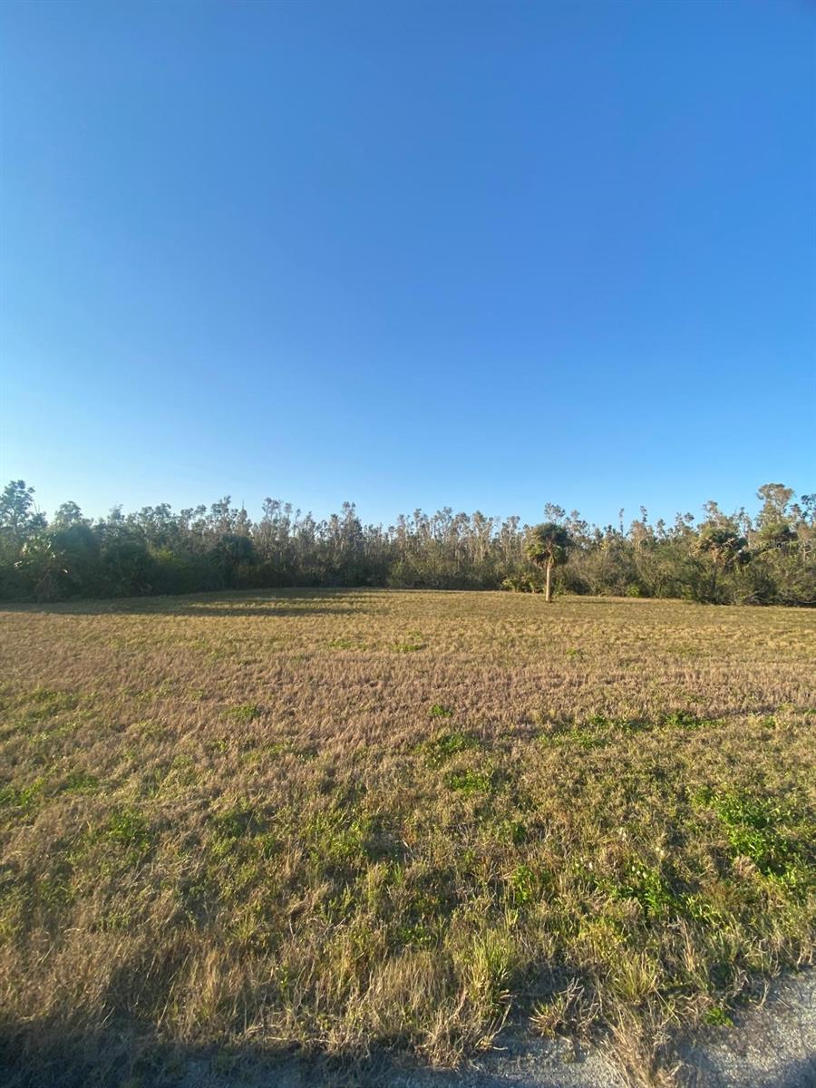 14420 BURBANK PL, PLACIDA, FL, 33946