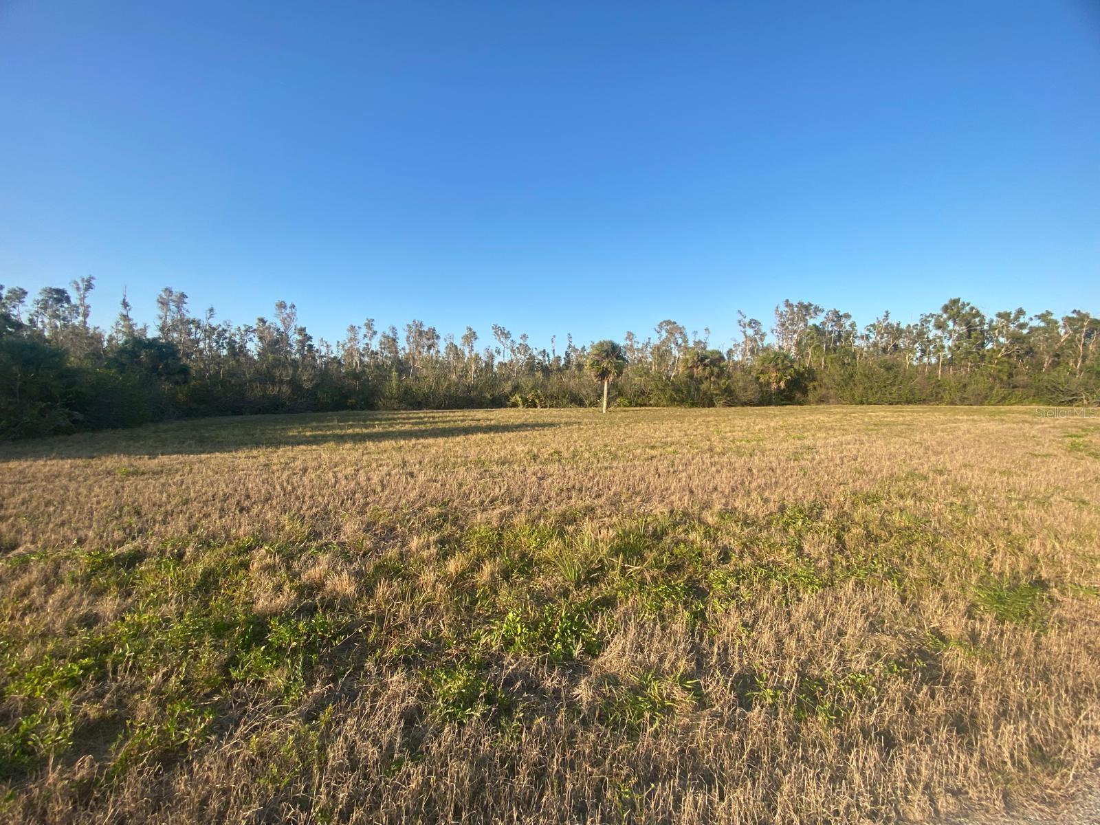 14420 BURBANK PL, PLACIDA, FL, 33946