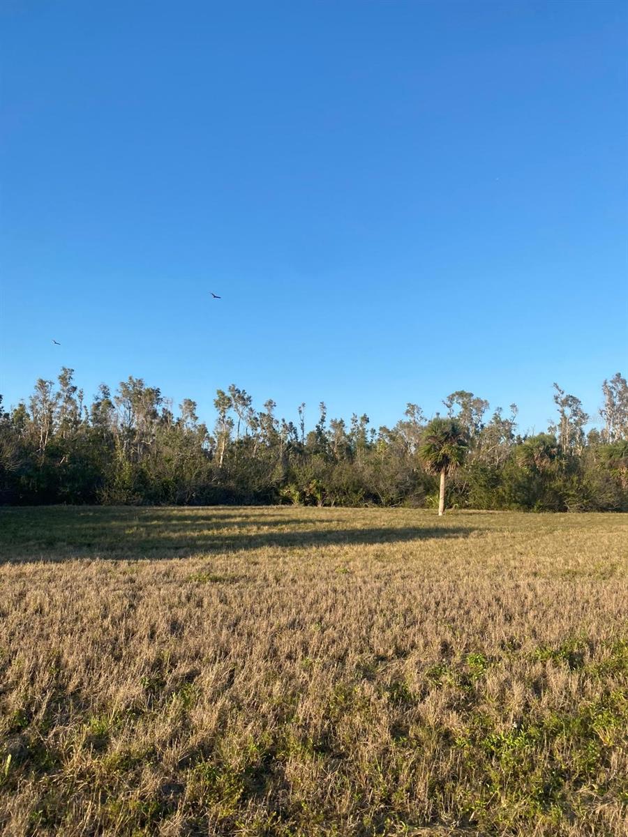 14420 BURBANK PL, PLACIDA, FL, 33946