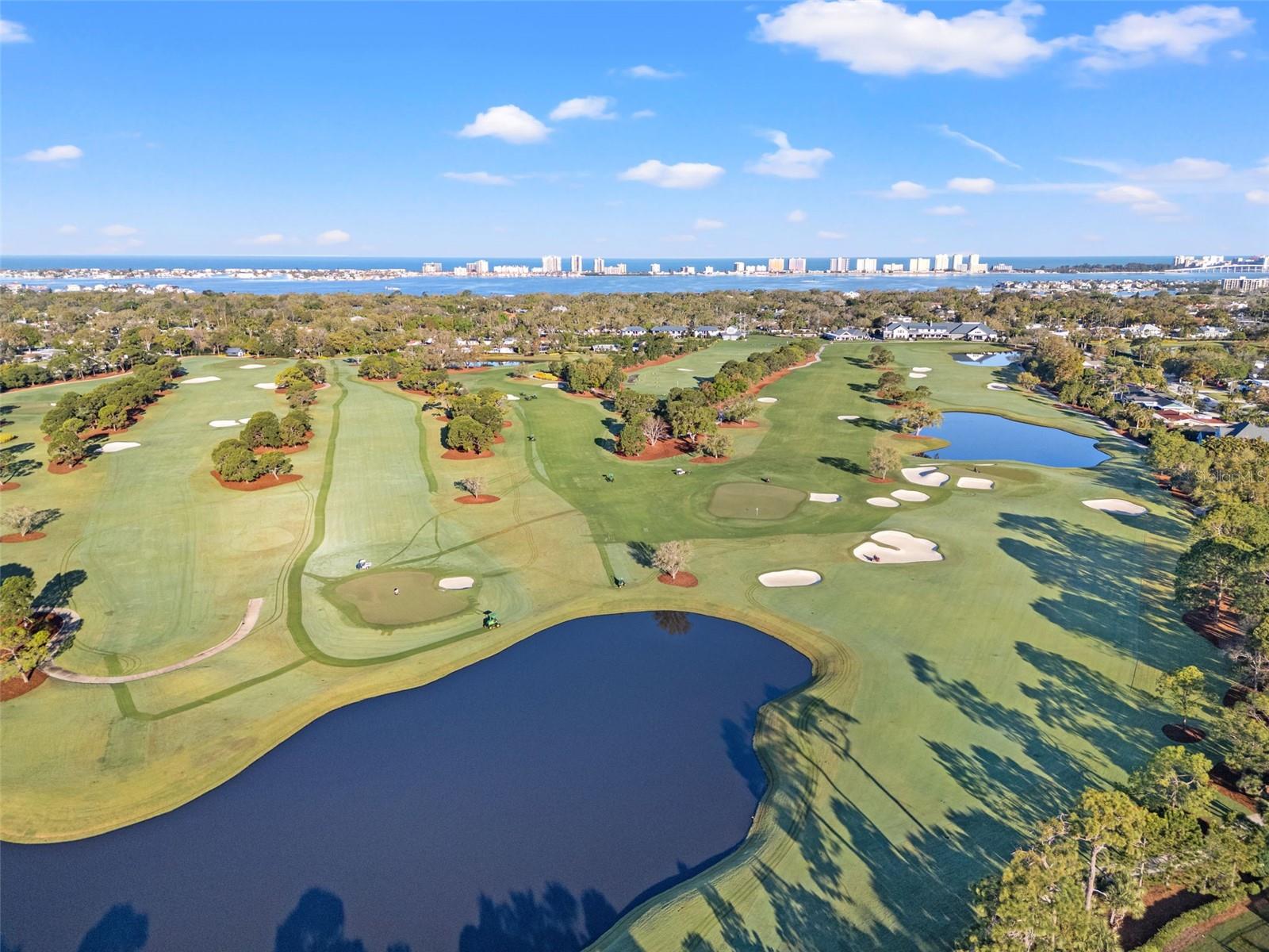 1706 BELLEAIR FOREST DR #318, BELLEAIR, FL, 33756