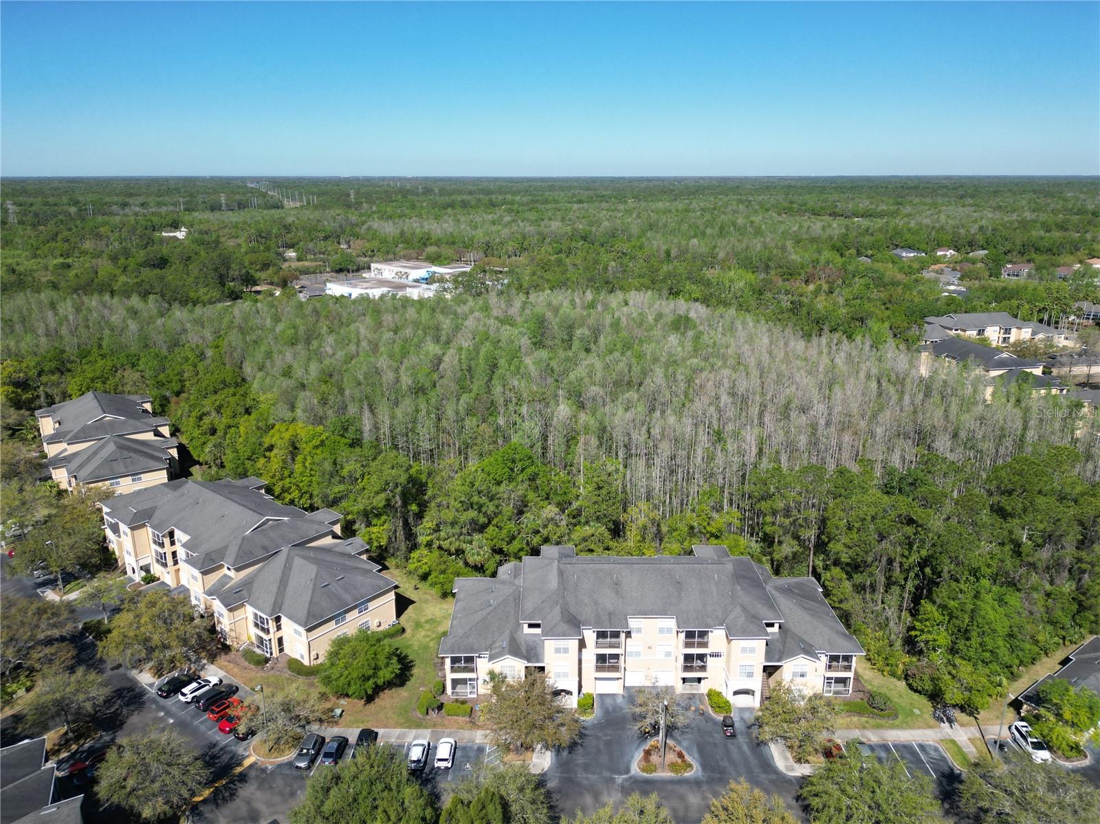 5125 PALM SPRINGS BLVD #9207, TAMPA, FL, 33647