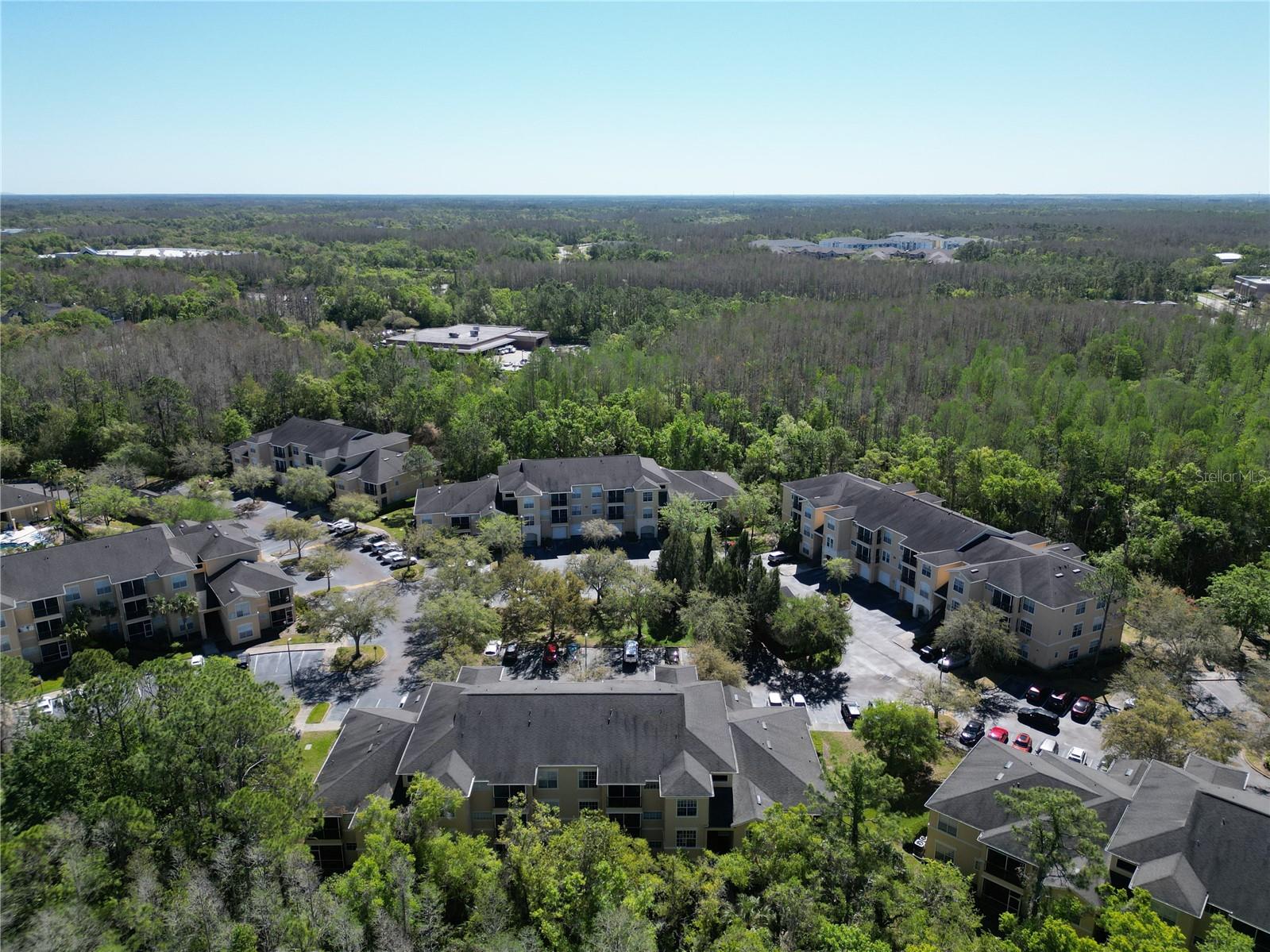 5125 PALM SPRINGS BLVD #9207, TAMPA, FL, 33647