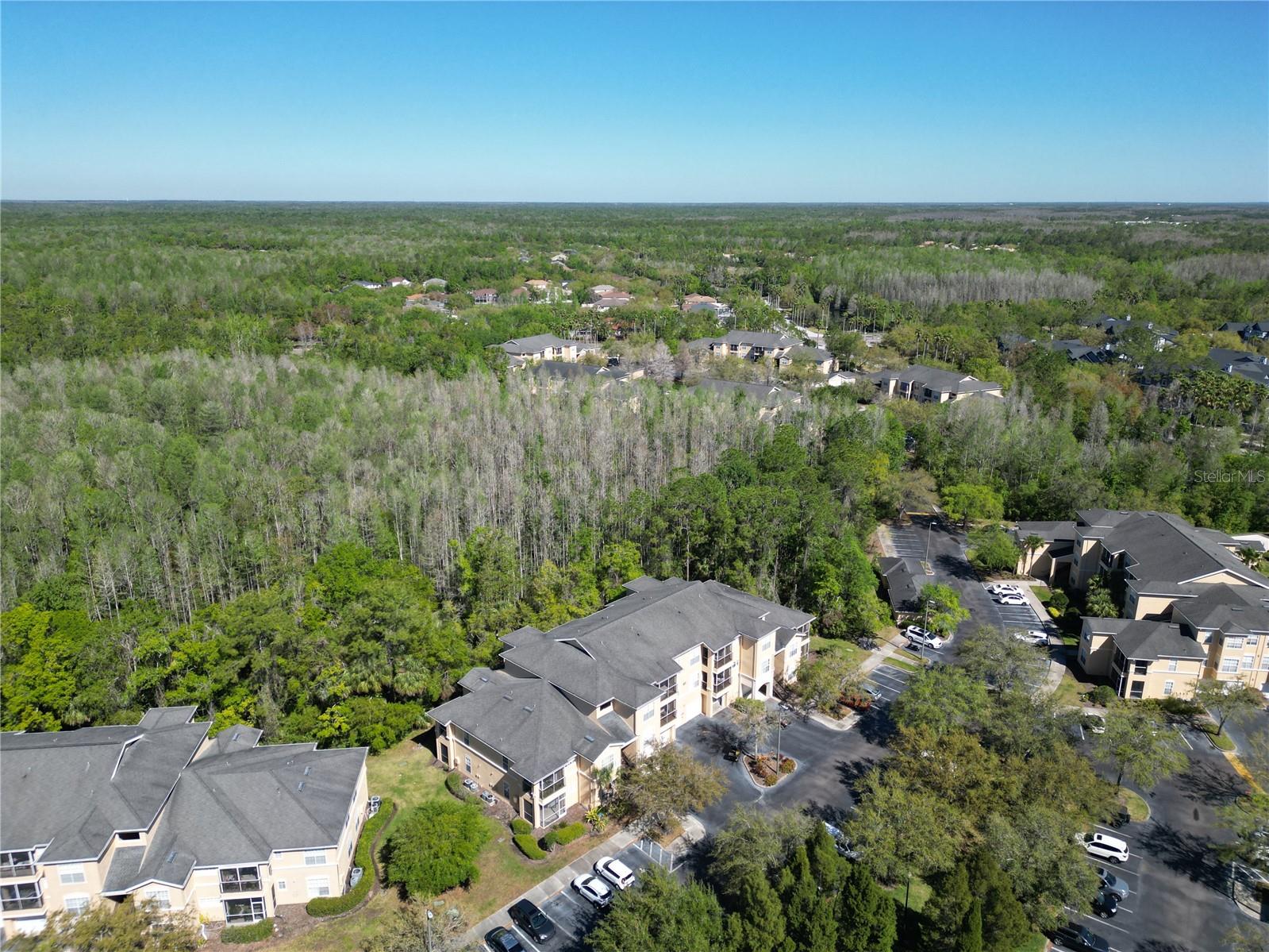 5125 PALM SPRINGS BLVD #9207, TAMPA, FL, 33647