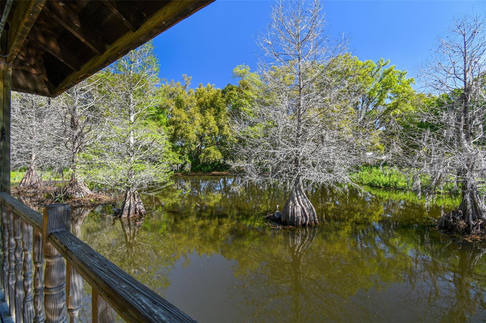 27547 MILLER RD, DADE CITY, FL, 33525