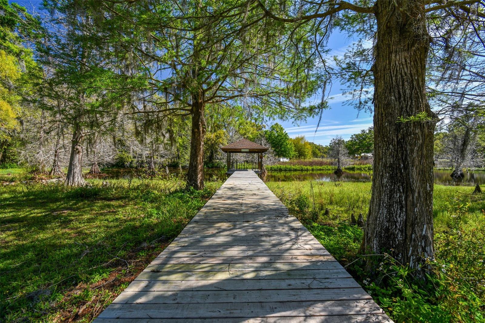 27547 MILLER RD, DADE CITY, FL, 33525