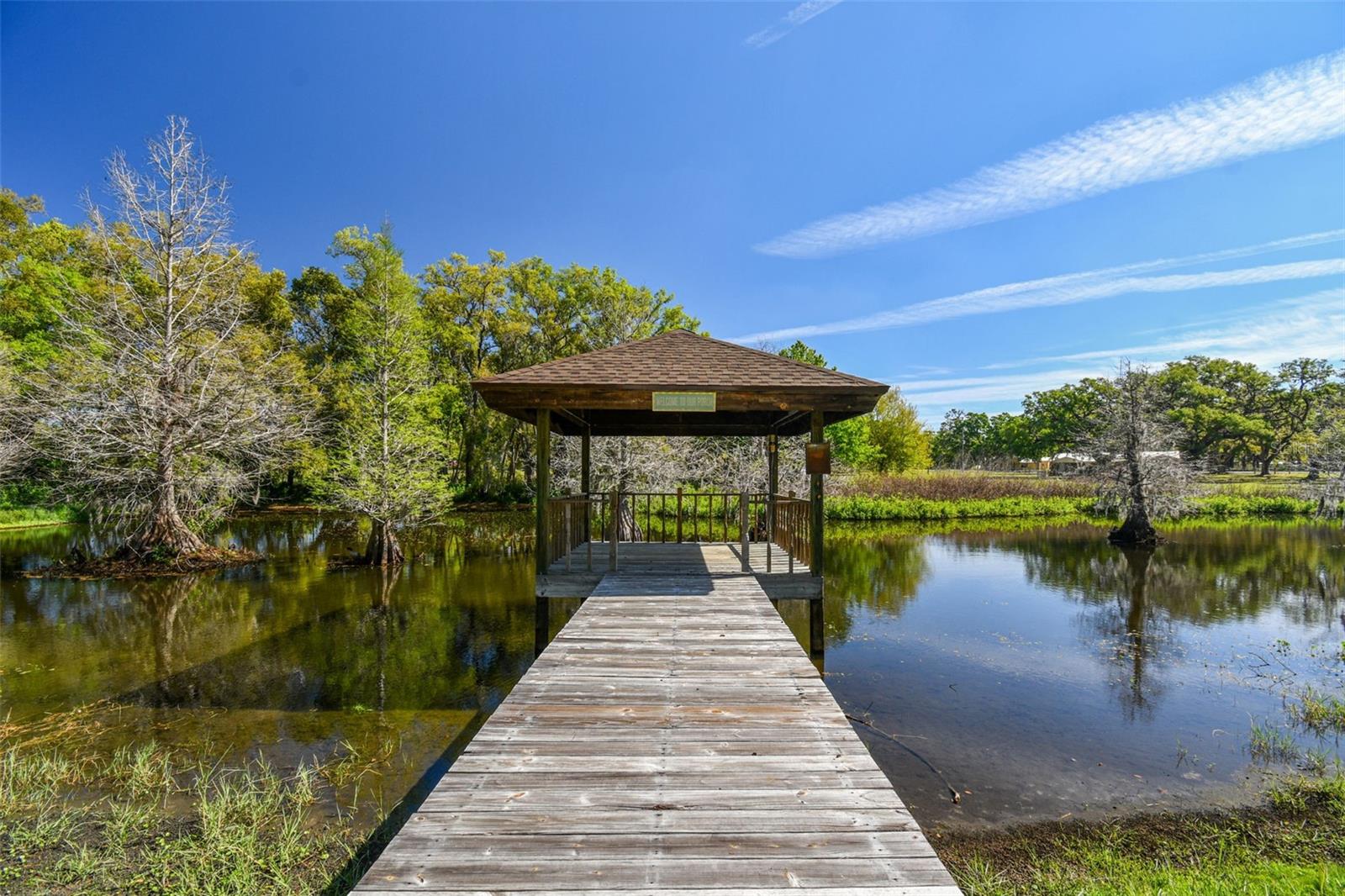 27547 MILLER RD, DADE CITY, FL, 33525