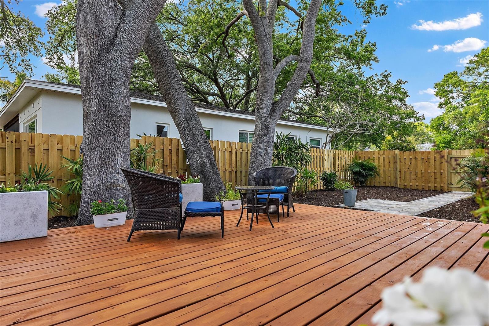 3520 POPLAR ST NE, ST PETERSBURG, FL, 33704