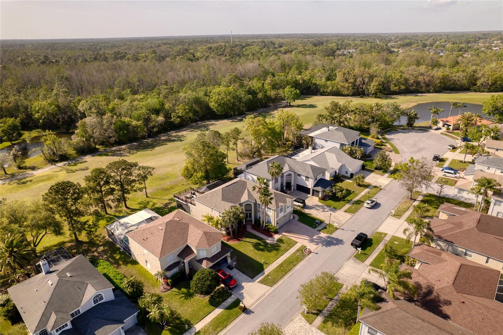 15618 SHOAL CREEK PL, ODESSA, FL, 33556