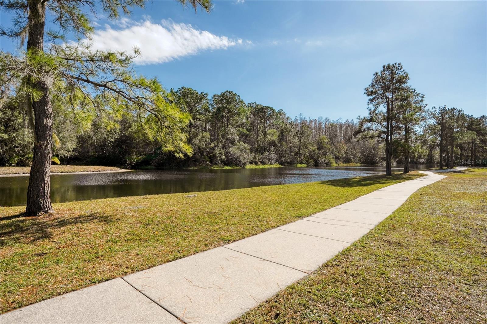 15618 SHOAL CREEK PL, ODESSA, FL, 33556