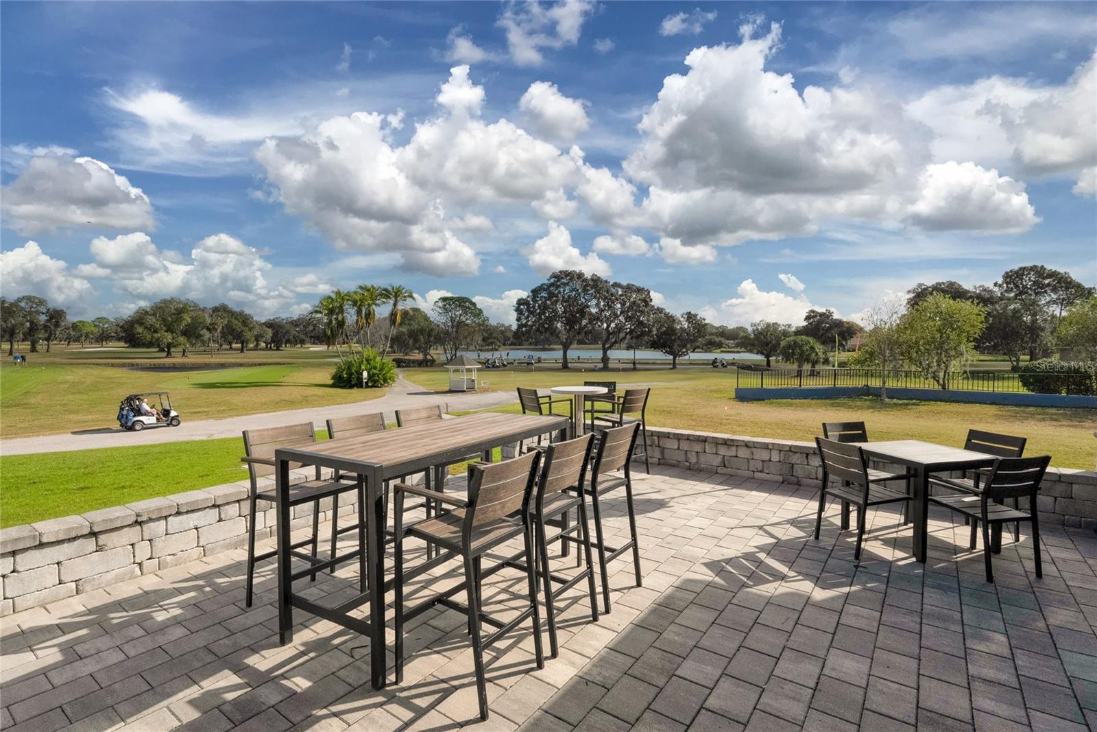 15618 SHOAL CREEK PL, ODESSA, FL, 33556