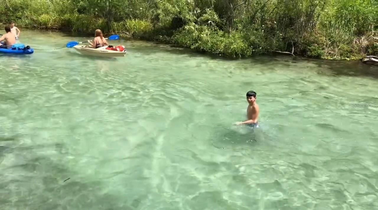 7083 DEVLIN ST, WEEKI WACHEE, FL, 34613