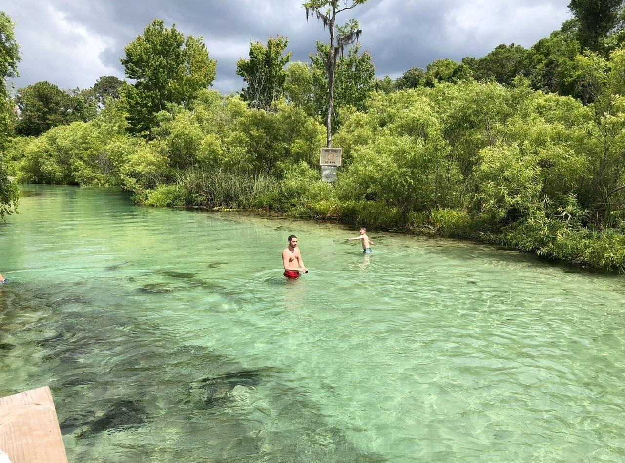 7083 DEVLIN ST, WEEKI WACHEE, FL, 34613