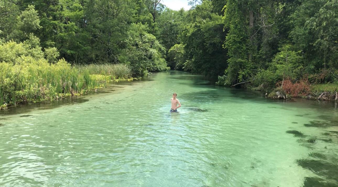 7083 DEVLIN ST, WEEKI WACHEE, FL, 34613