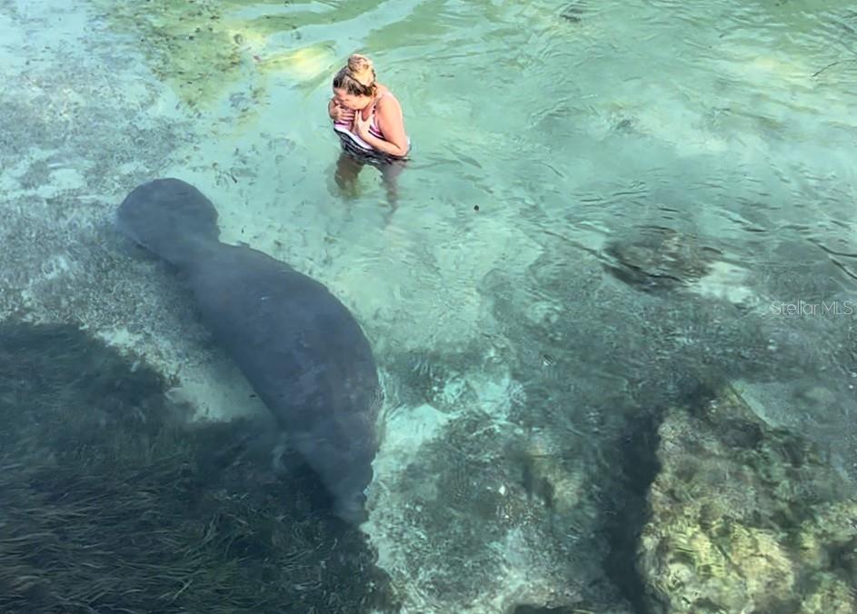 7083 DEVLIN ST, WEEKI WACHEE, FL, 34613