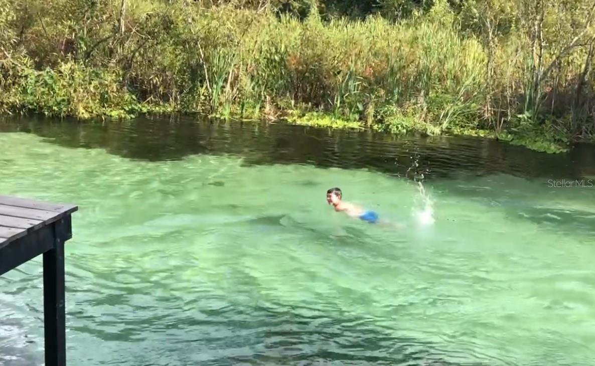 7083 DEVLIN ST, WEEKI WACHEE, FL, 34613