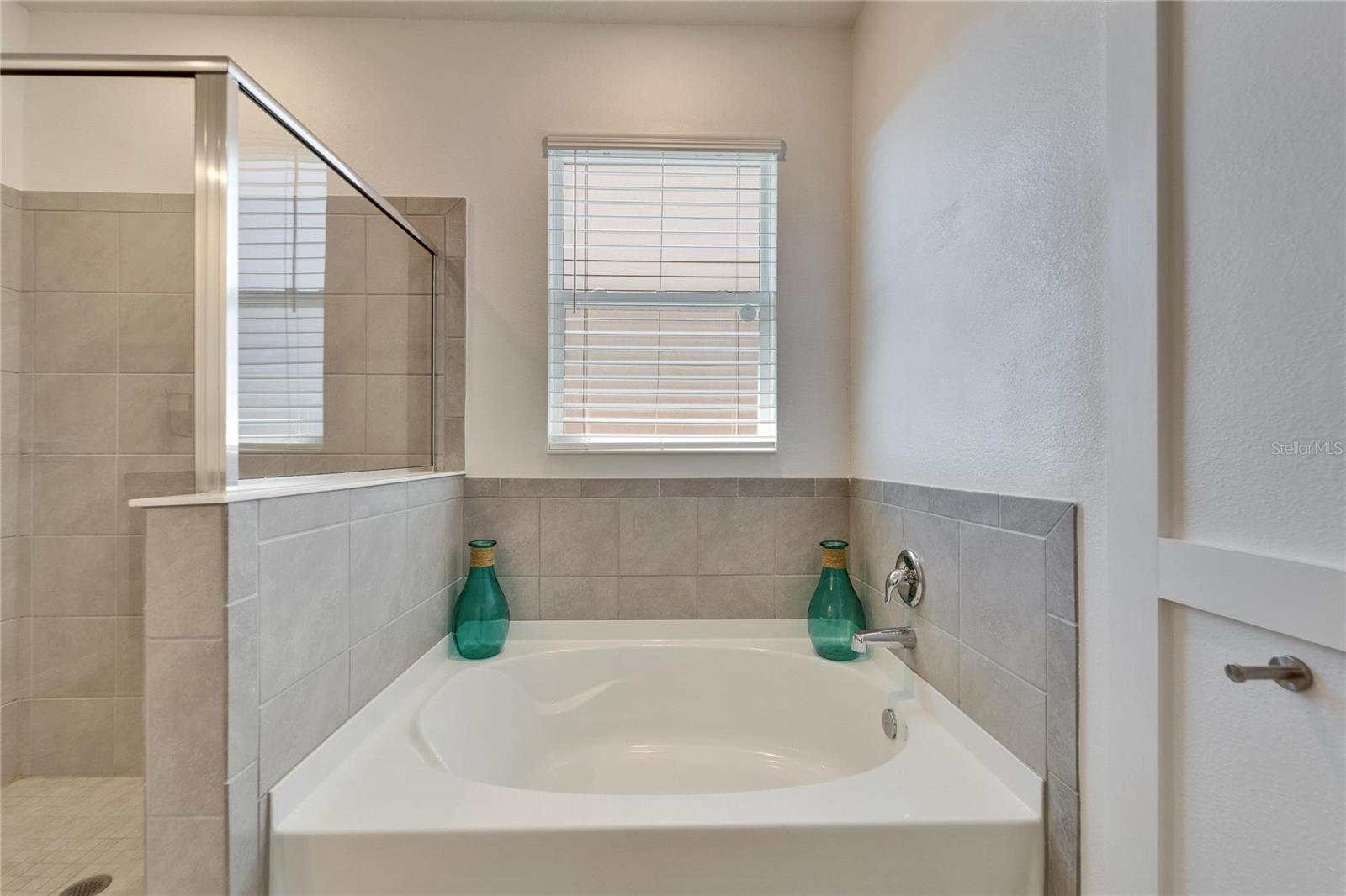 33298 MAJOR OAK DR, WESLEY CHAPEL, FL, 33545