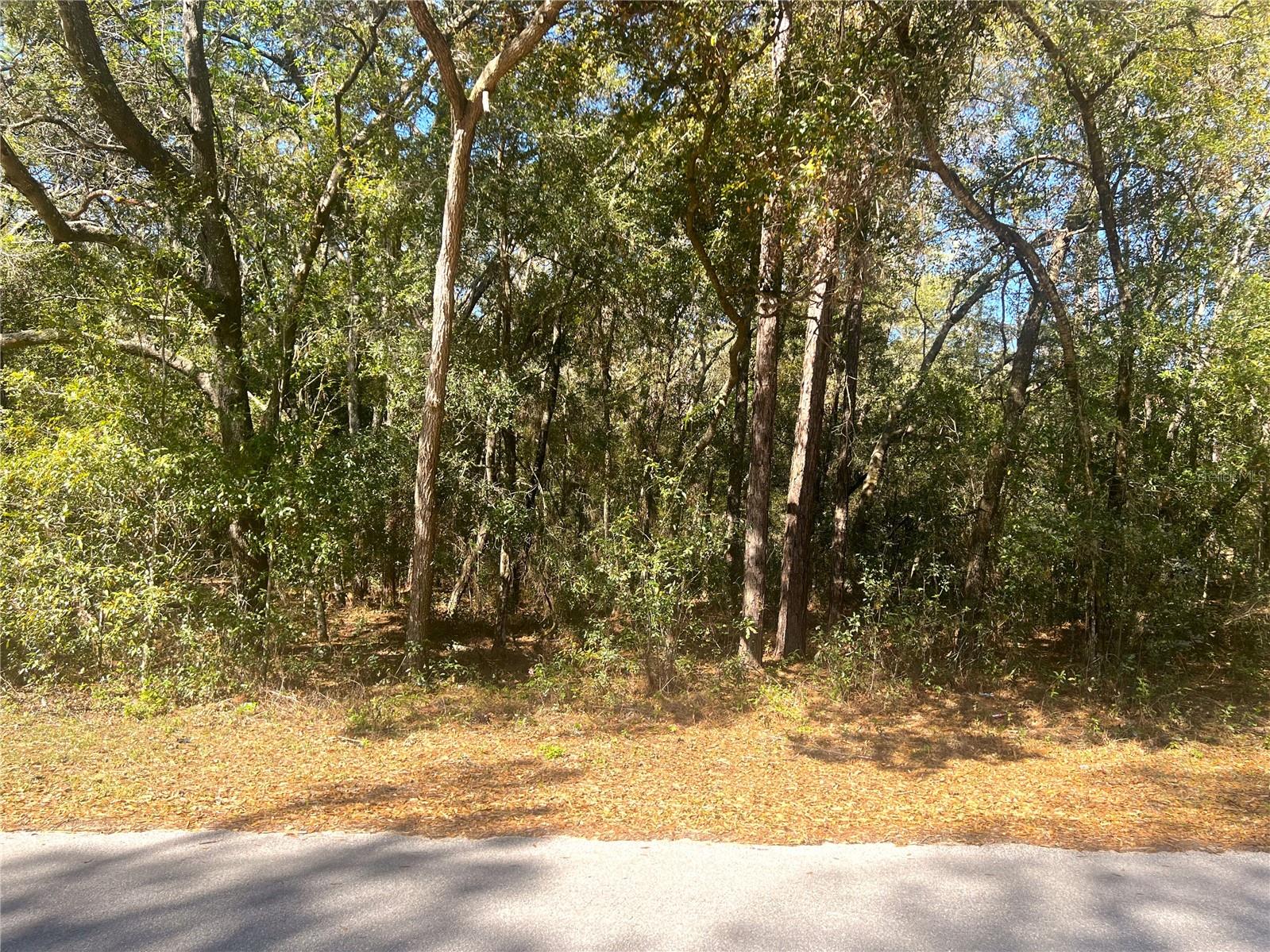 0000 SW 199 COURT CT, DUNNELLON, FL, 34431