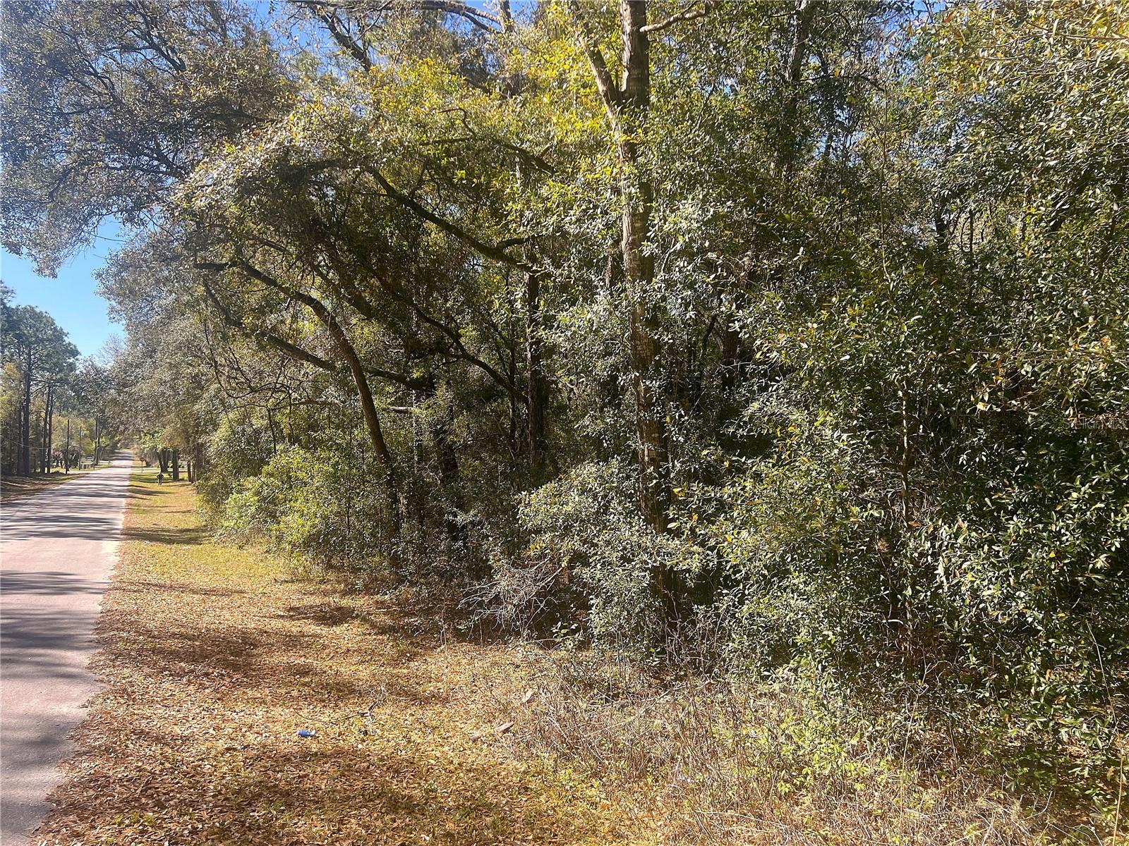0000 SW 199 COURT CT, DUNNELLON, FL, 34431
