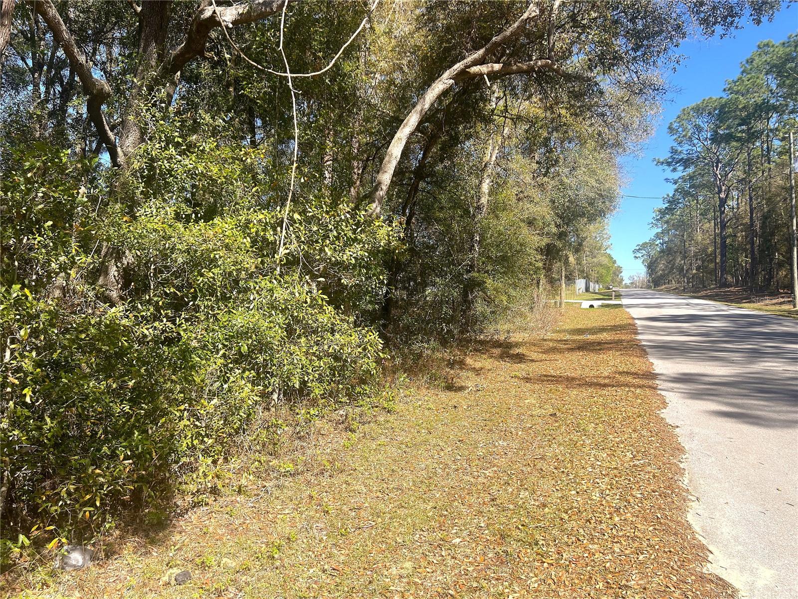 0000 SW 199 COURT CT, DUNNELLON, FL, 34431