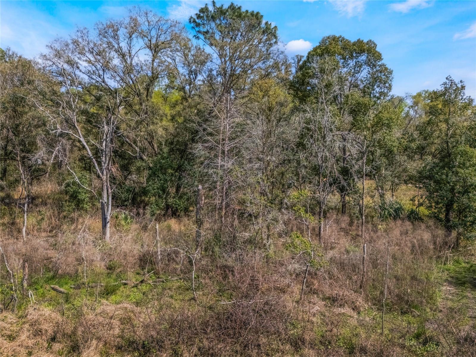 2208 EISENHOWER ST, INVERNESS, FL, 34453