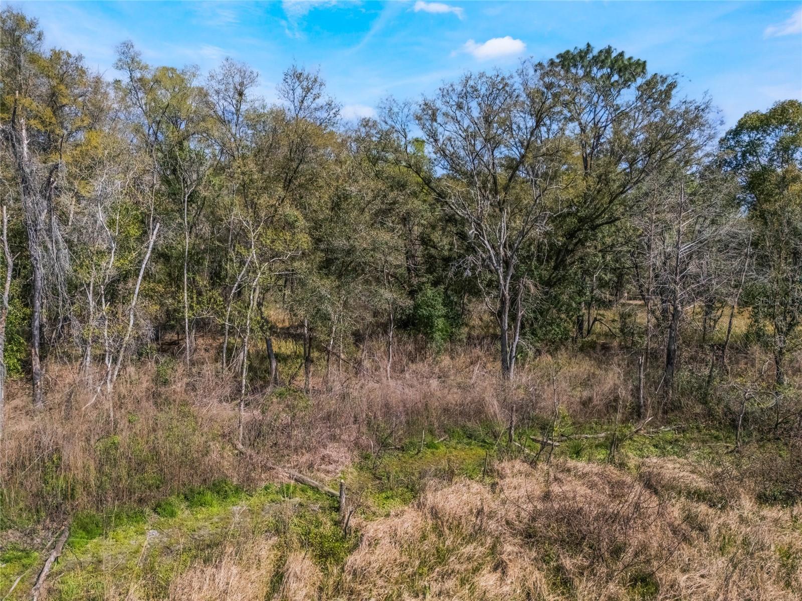 2208 EISENHOWER ST, INVERNESS, FL, 34453