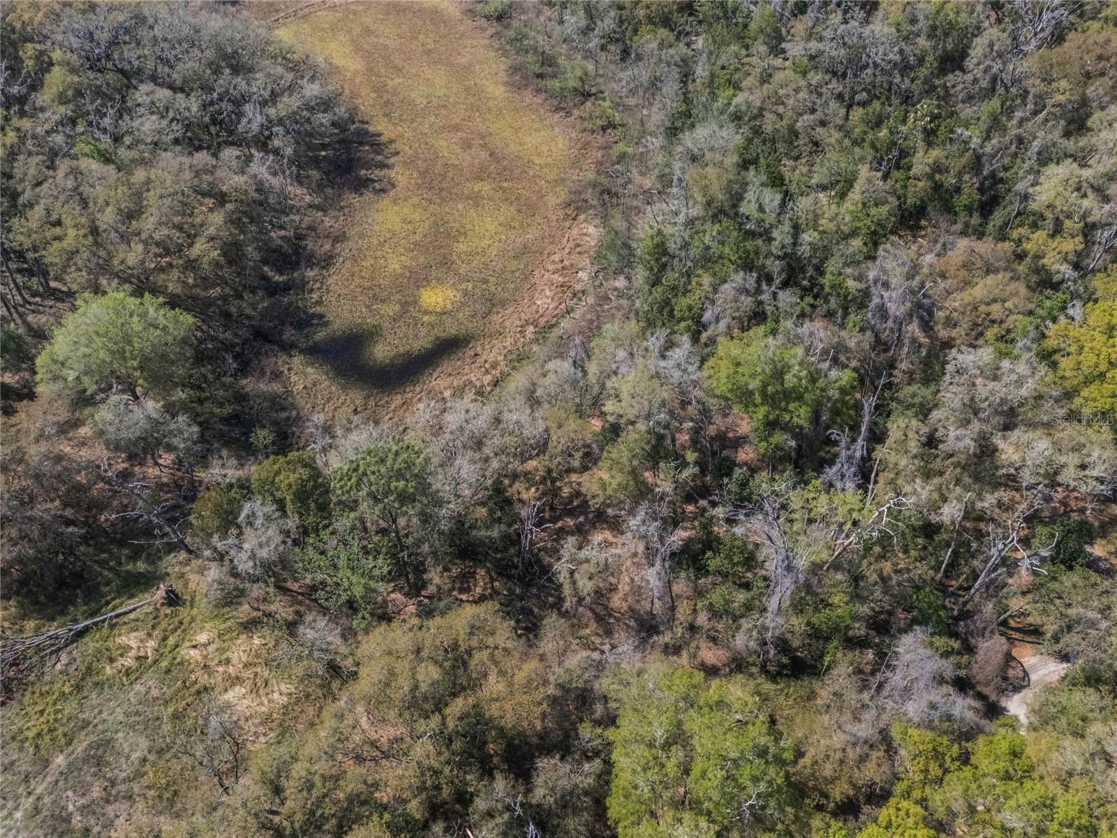 2208 EISENHOWER ST, INVERNESS, FL, 34453