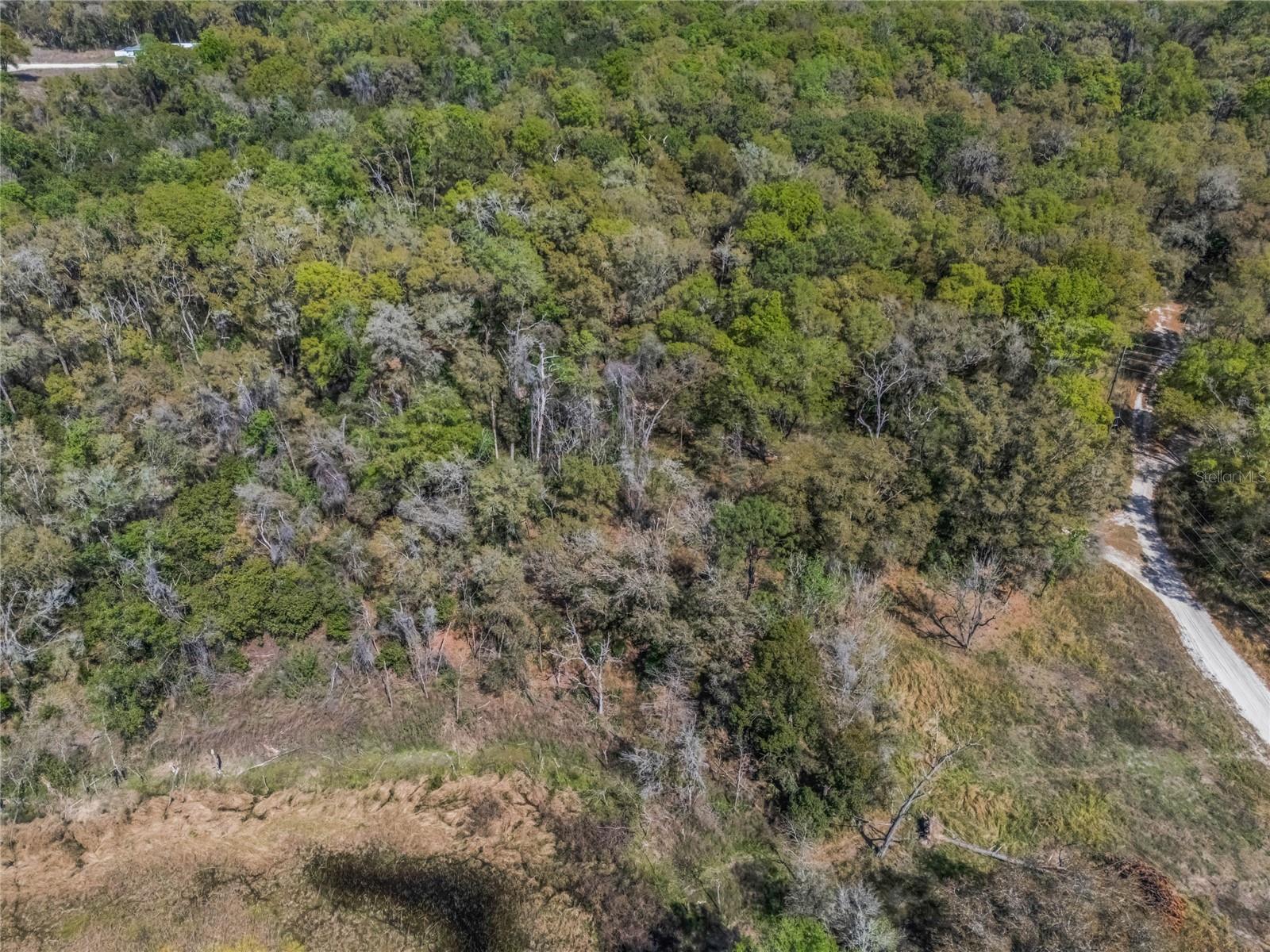 2208 EISENHOWER ST, INVERNESS, FL, 34453